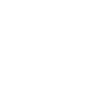 Rivas Ibáñez